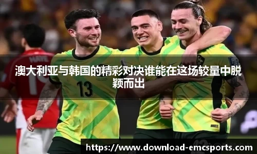emc易倍体育官方网站