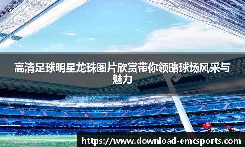 emc易倍体育平台