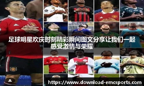 emc易倍体育APP