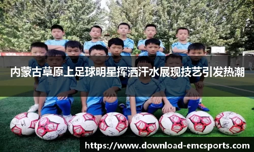 emc易倍体育官方网站