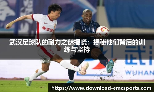 emc易倍体育官方网站