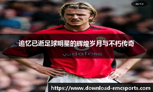 emc易倍体育平台